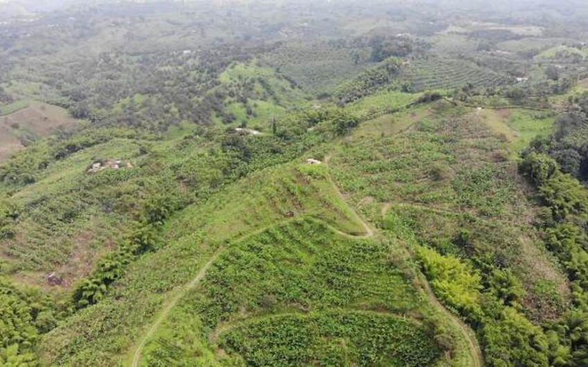Finca en Produccion de Cafe y Platano – Calarca