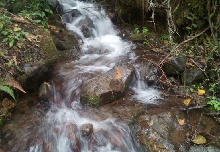 Finca para la Venta en Palmira Valle del Cauca