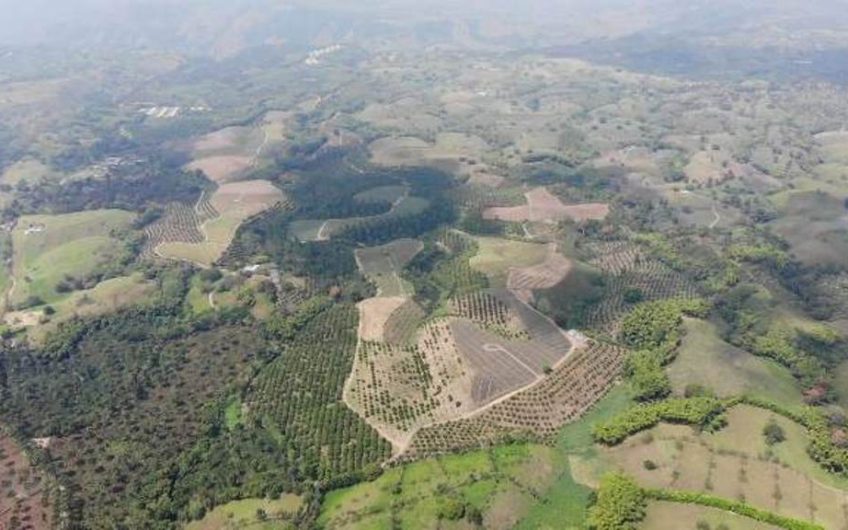 Finca Productiva para la Venta en Alcala Valle del Cauca