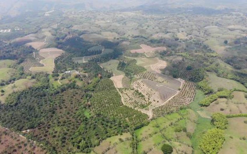 Finca Productiva para la Venta en Alcala Valle del Cauca