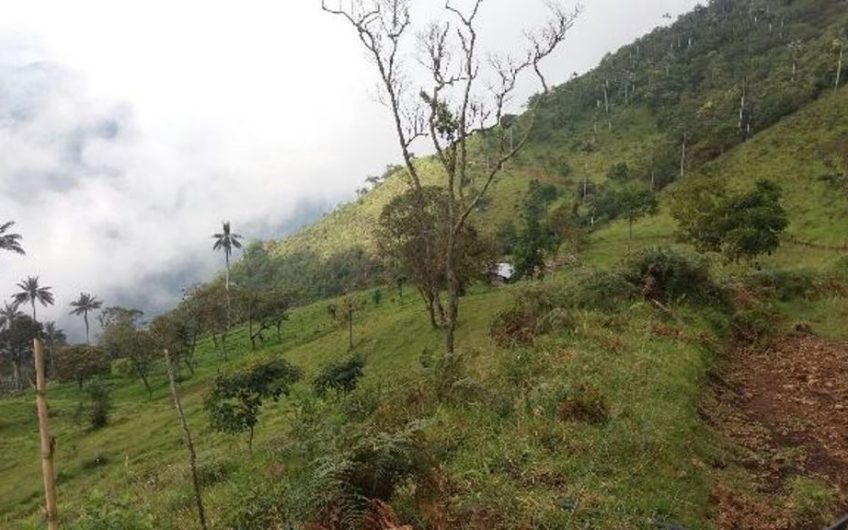 Finca para la Venta en Palmira Valle del Cauca