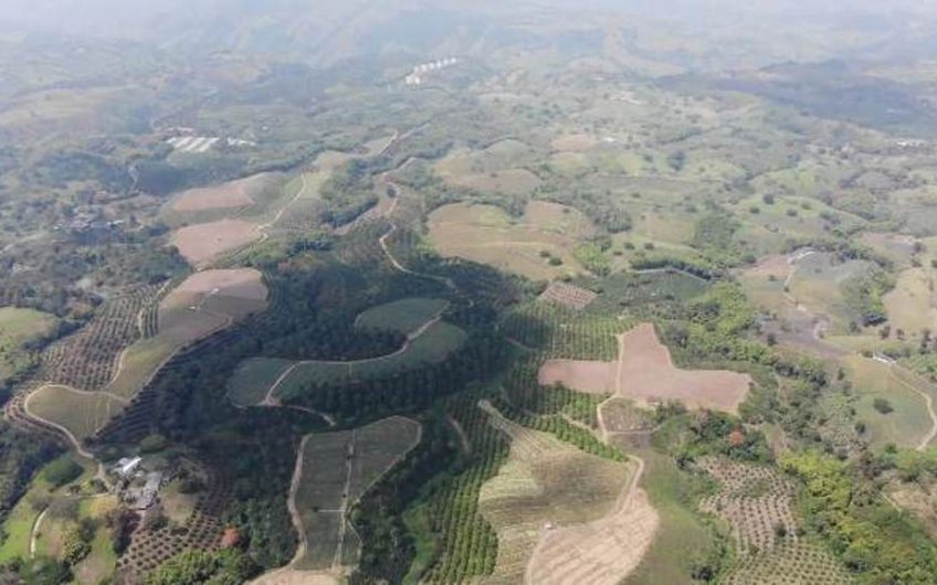 Finca Productiva para la Venta en Alcala Valle del Cauca