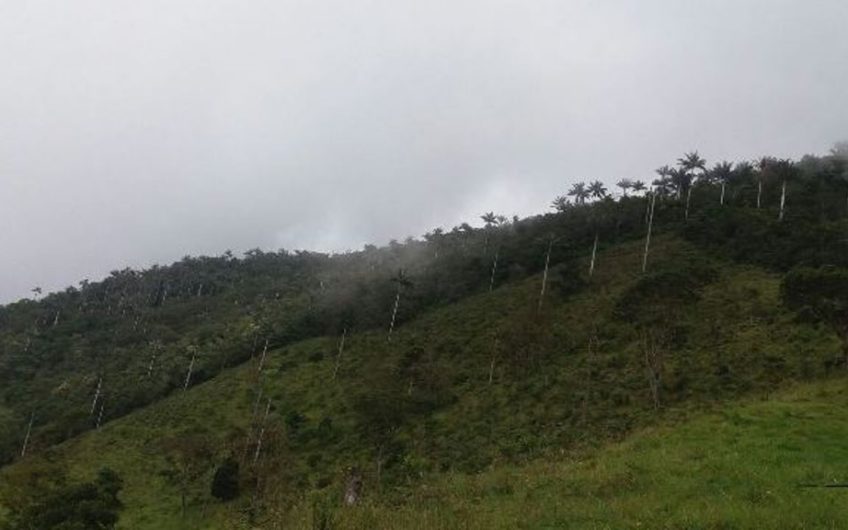 Finca para la Venta en Palmira Valle del Cauca