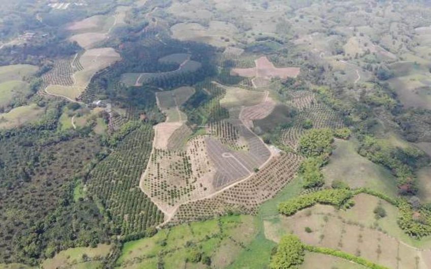 Finca Productiva para la Venta en Alcala Valle del Cauca