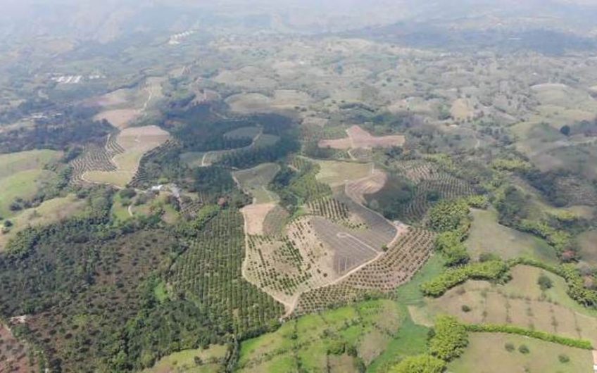 Finca Productiva para la Venta en Alcala Valle del Cauca