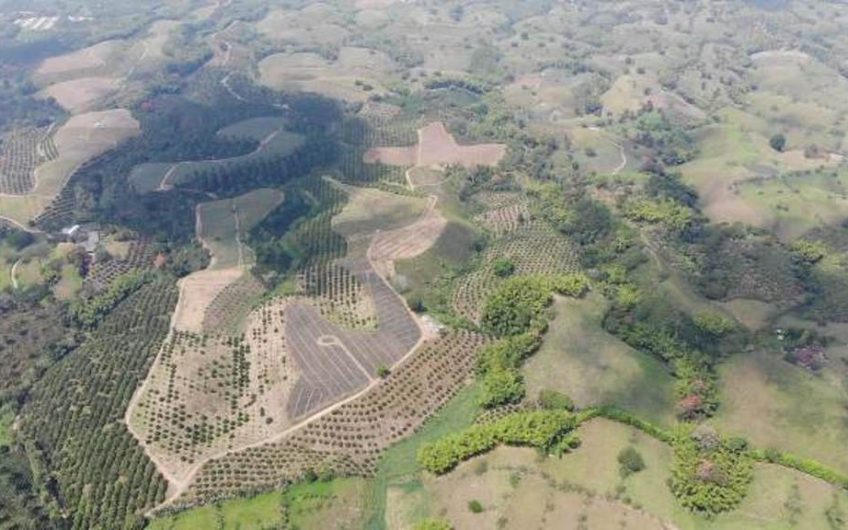 Finca Productiva para la Venta en Alcala Valle del Cauca