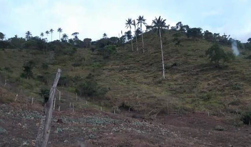 Finca para la Venta en Palmira Valle del Cauca