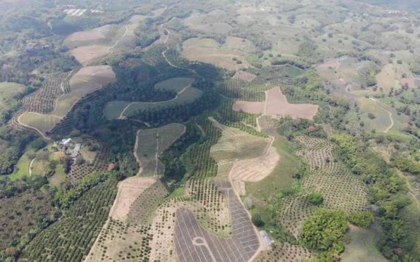 Finca Productiva para la Venta en Alcala Valle del Cauca