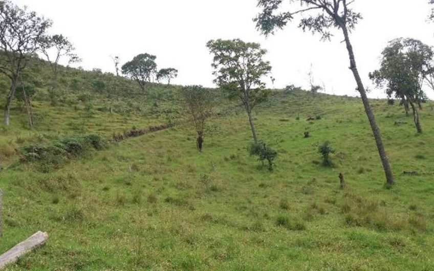 Finca para la Venta en Palmira Valle del Cauca