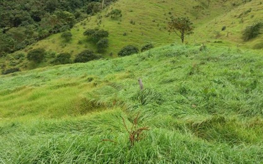 Finca para la Venta en Palmira Valle del Cauca