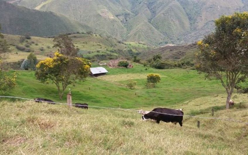 Finca para la Venta en Palmira Valle del Cauca