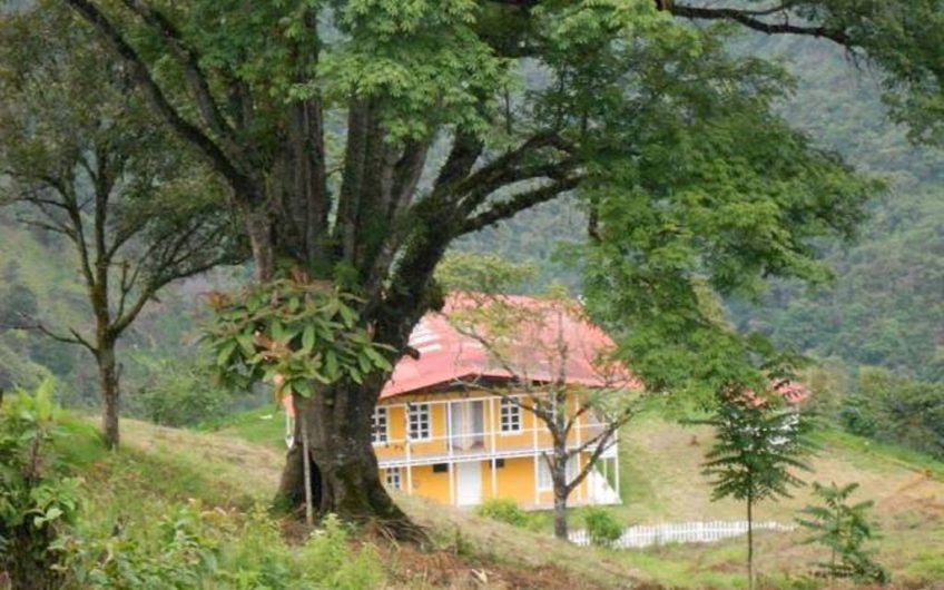 Finca Hotel Rural para la Veta en Pijao Quindio