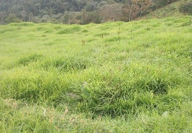 Finca para la Venta en Palmira Valle del Cauca