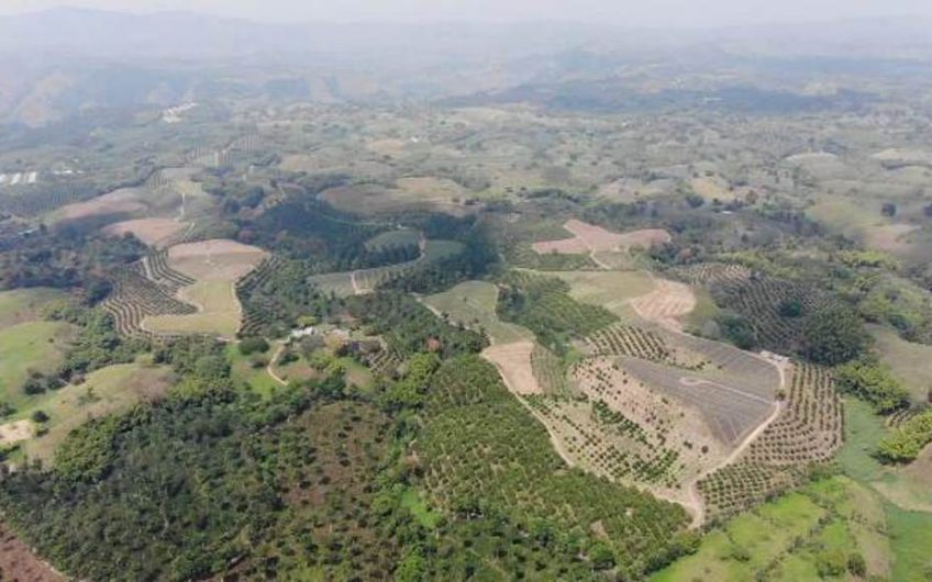 Finca Productiva para la Venta en Alcala Valle del Cauca