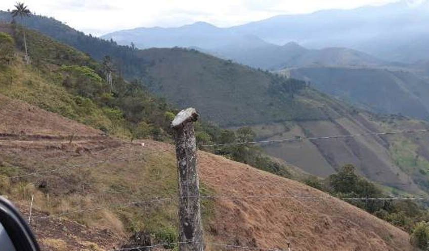 Finca para la Venta en Palmira Valle del Cauca