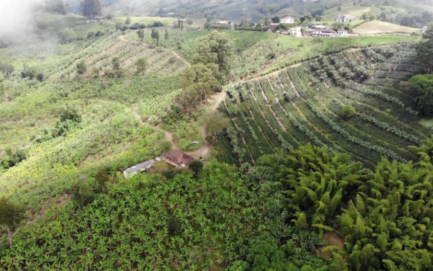 Finca Productiva para la Venta en Sevilla Valle