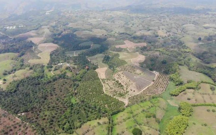 Finca Productiva para la Venta en Alcala Valle del Cauca