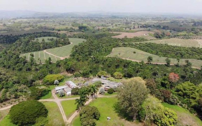 Finca Productiva para la Venta en Alcala Valle del Cauca