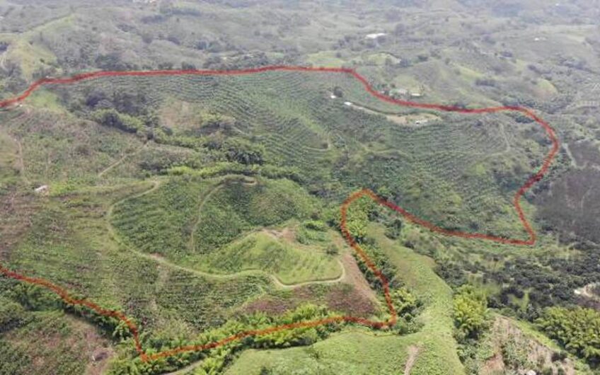 Finca en Produccion de Cafe y Platano – Calarca