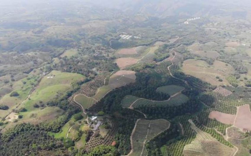 Finca Productiva para la Venta en Alcala Valle del Cauca