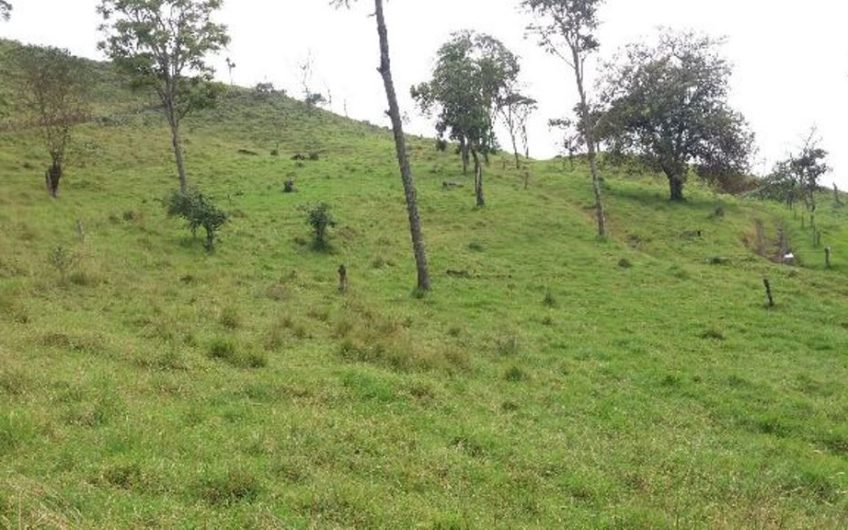 Finca para la Venta en Palmira Valle del Cauca