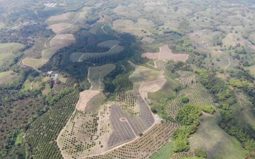 Finca Productiva para la Venta en Alcala Valle del Cauca