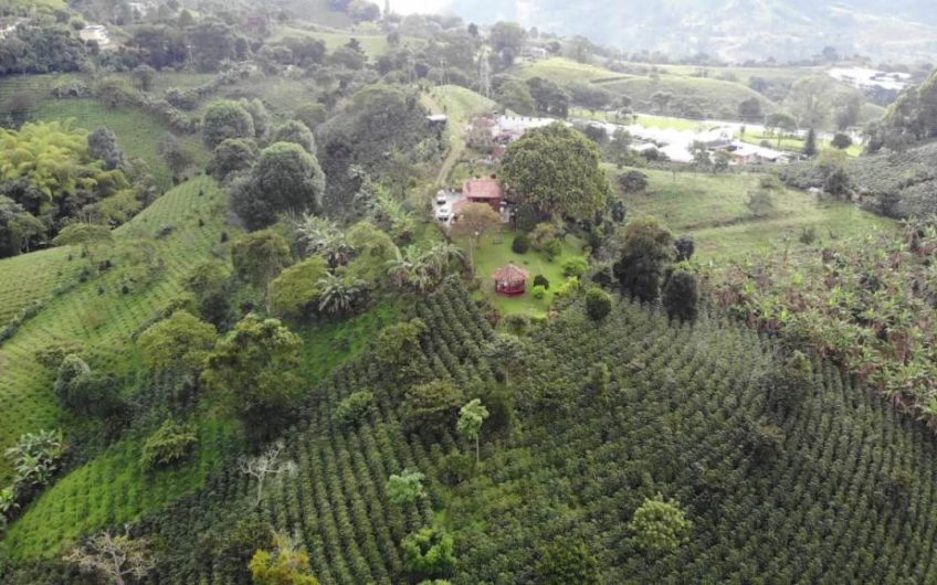 Finca para la Venta Sector Altos de Colillas Vía Circasia