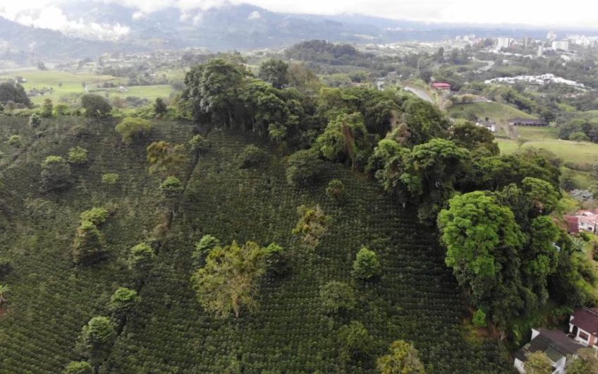 Finca para la Venta Sector Altos de Colillas Vía Circasia
