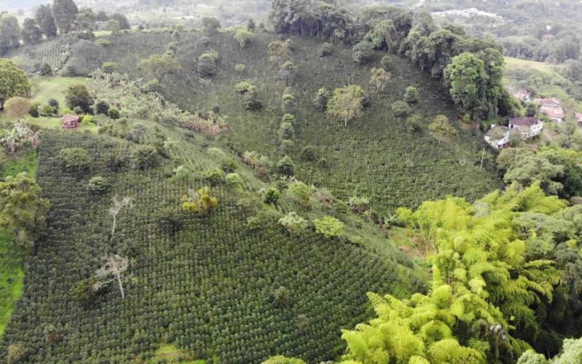 Finca para la Venta Sector Altos de Colillas Vía Circasia