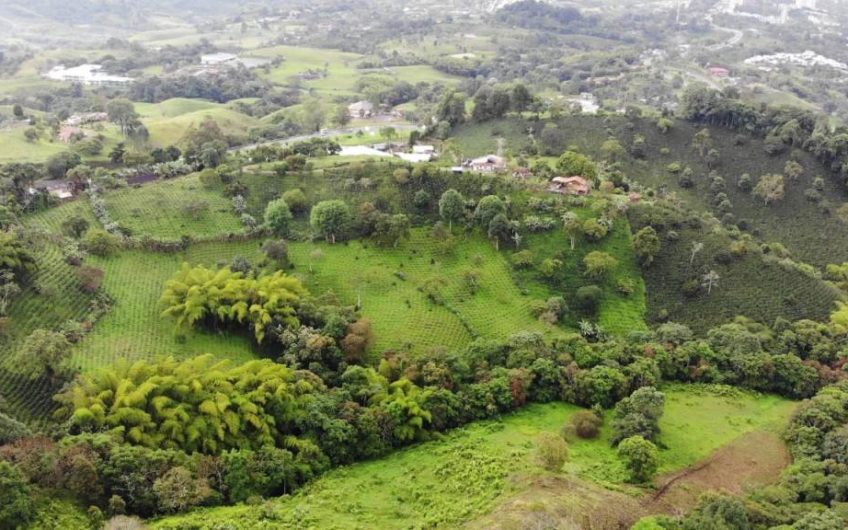 Finca para la Venta Sector Altos de Colillas Vía Circasia