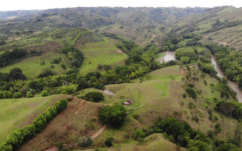 Finca Ganadera para la Venta Corozal Valle del Cauca