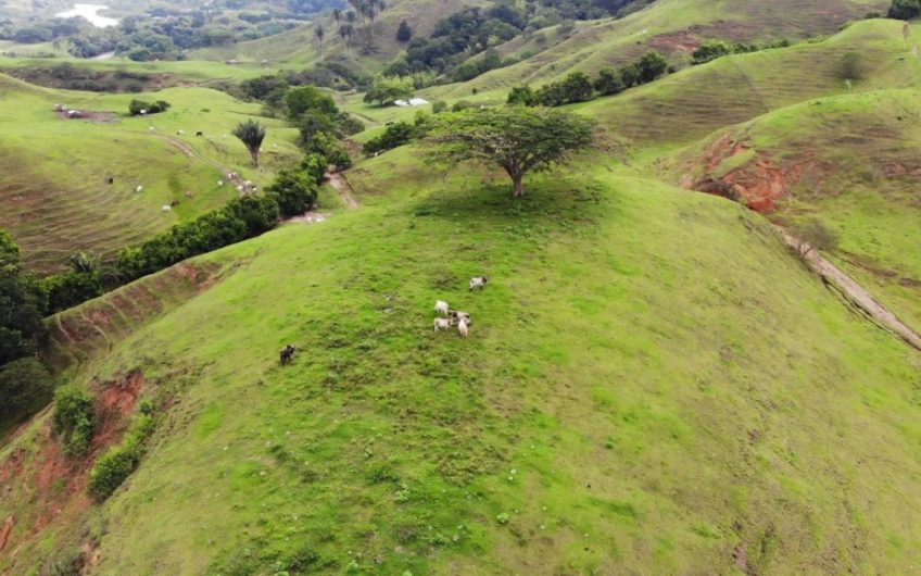 Finca Ganadera para la Venta Corozal Valle del Cauca