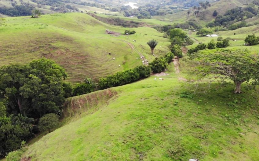 Finca Ganadera para la Venta Corozal Valle del Cauca