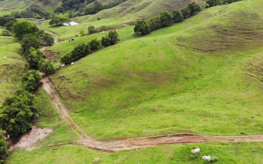 Finca Ganadera para la Venta Corozal Valle del Cauca