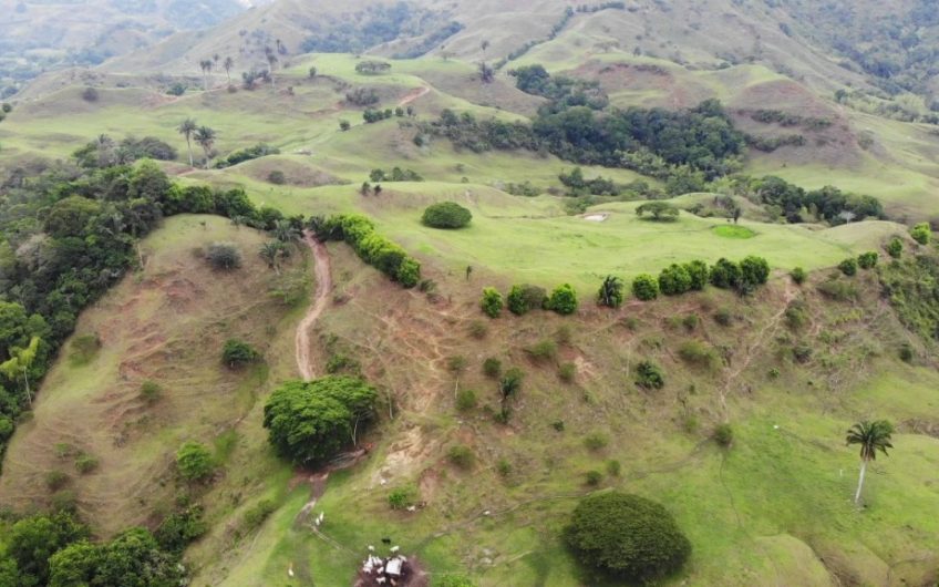 Finca Ganadera para la Venta Corozal Valle del Cauca