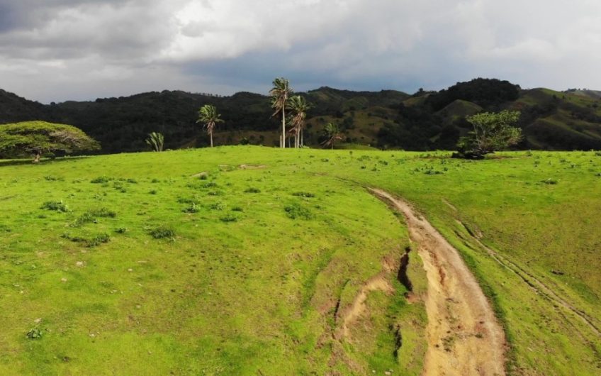 Finca Ganadera para la Venta Corozal Valle del Cauca
