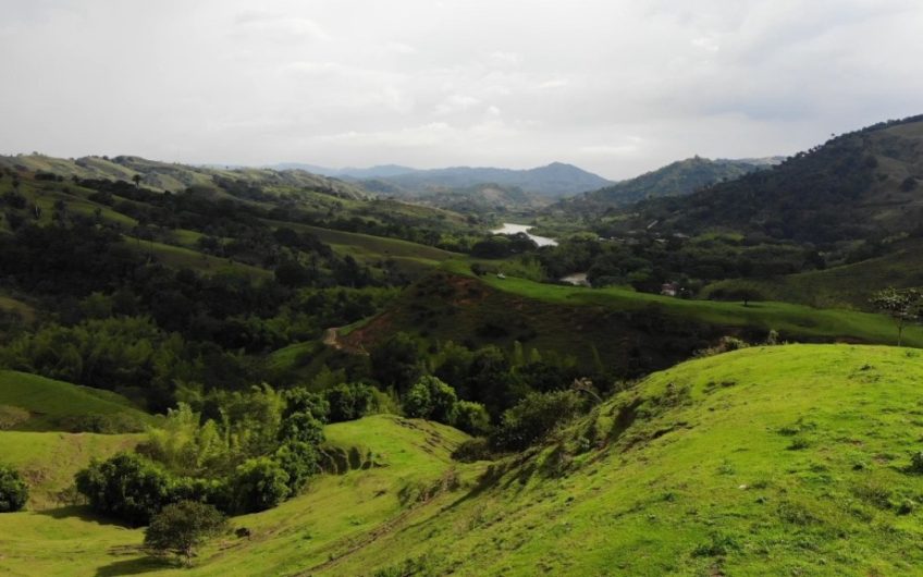 Finca Ganadera para la Venta Corozal Valle del Cauca
