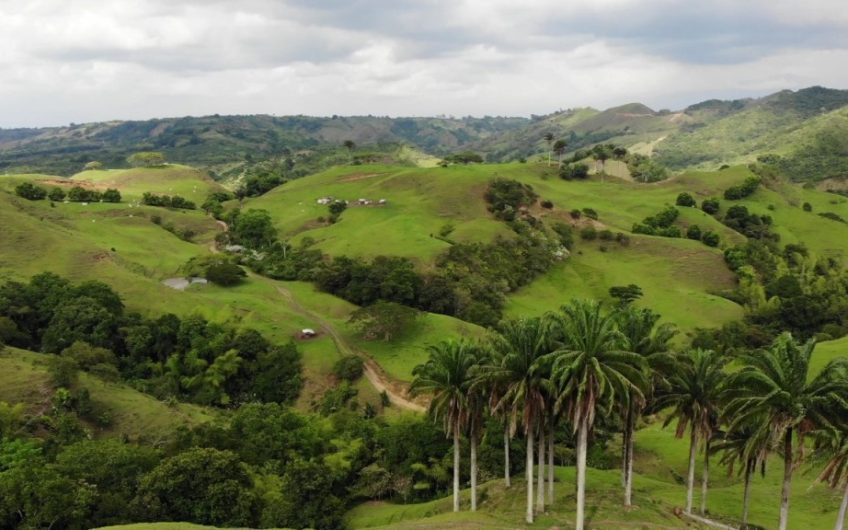 Finca Ganadera para la Venta Corozal Valle del Cauca