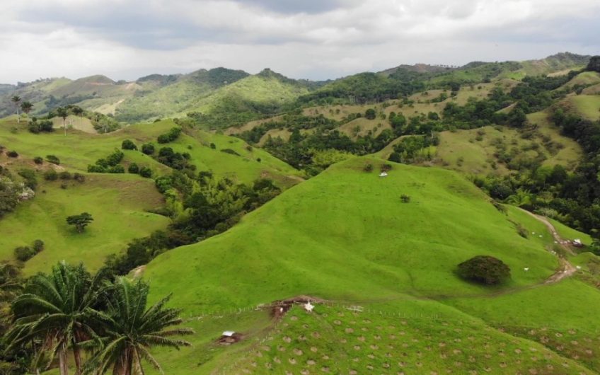 Finca Ganadera para la Venta Corozal Valle del Cauca