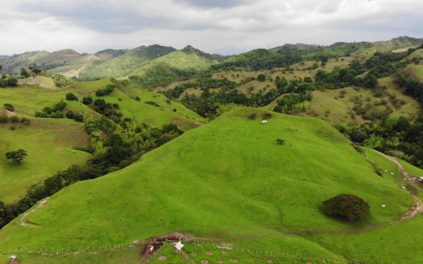 Finca Ganadera para la Venta Corozal Valle del Cauca