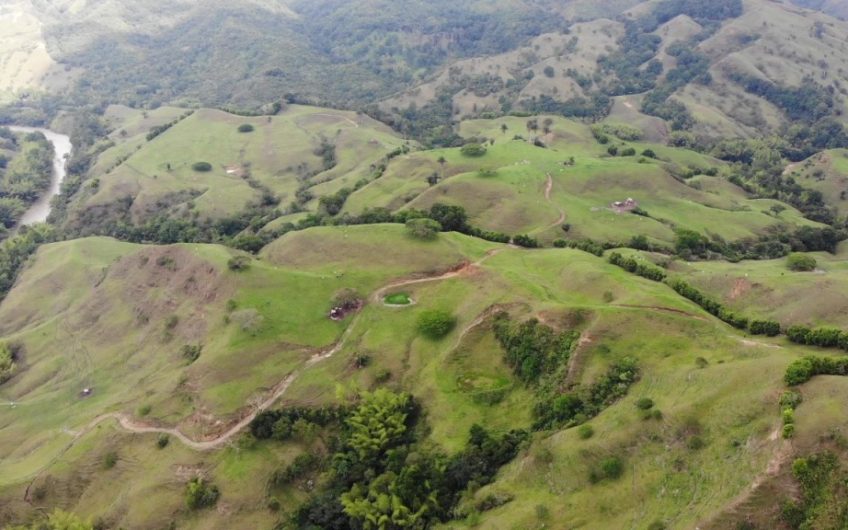 Finca Ganadera para la Venta Corozal Valle del Cauca
