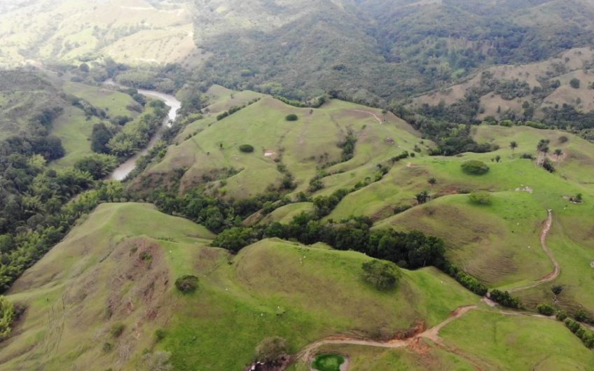 Finca Ganadera para la Venta Corozal Valle del Cauca