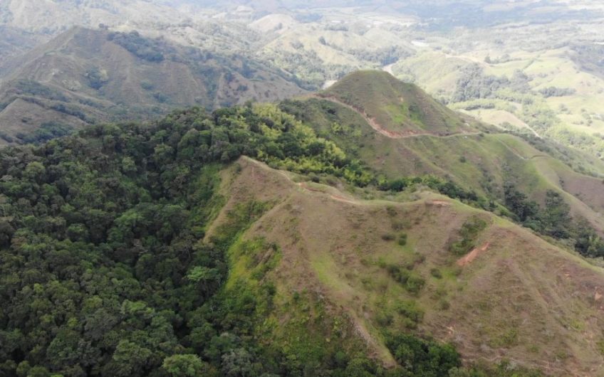 Finca Ganadera para la Venta Corozal Valle del Cauca