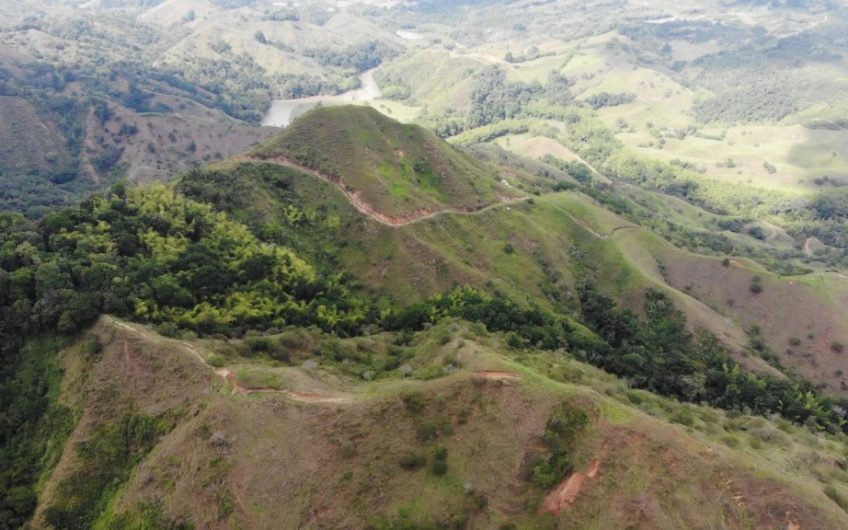 Finca Ganadera para la Venta Corozal Valle del Cauca