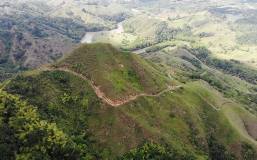 Finca Ganadera para la Venta Corozal Valle del Cauca