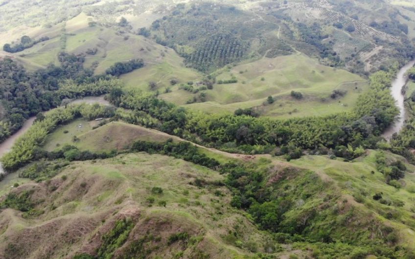 Finca Ganadera para la Venta Corozal Valle del Cauca
