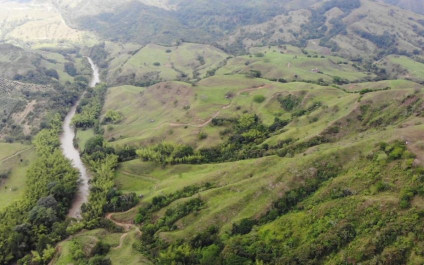 Finca Ganadera para la Venta Corozal Valle del Cauca