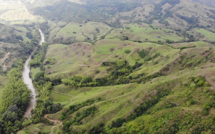 Finca Ganadera para la Venta Corozal Valle del Cauca