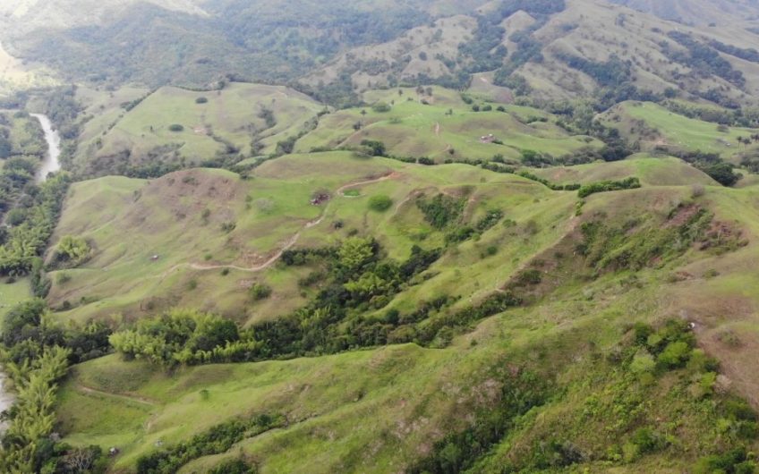 Finca Ganadera para la Venta Corozal Valle del Cauca