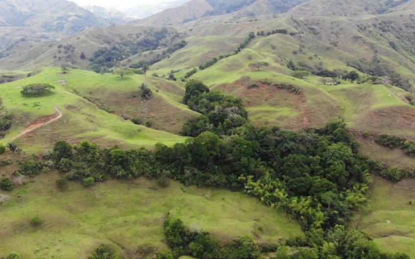 Finca Ganadera para la Venta Corozal Valle del Cauca